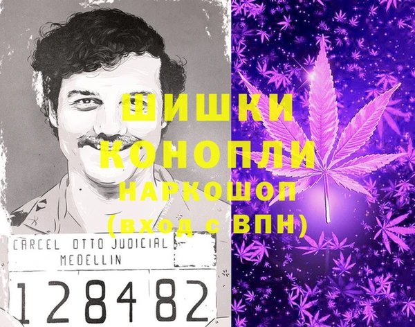 PSILOCYBIN Балабаново