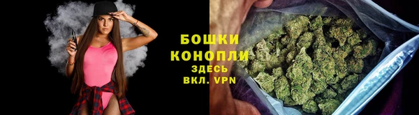 соль ск Тайга