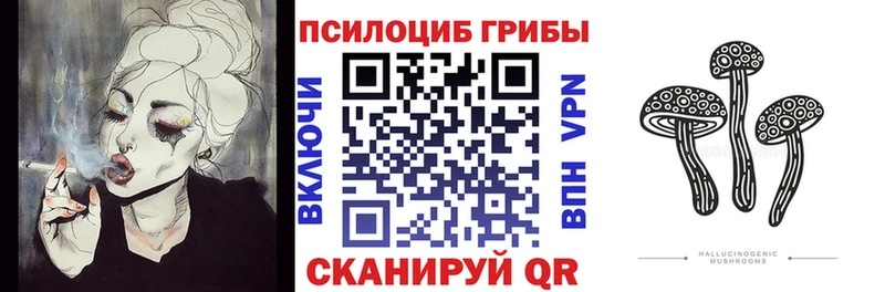 Псилоцибиновые грибы Psilocybe  кракен как зайти  Буинск 